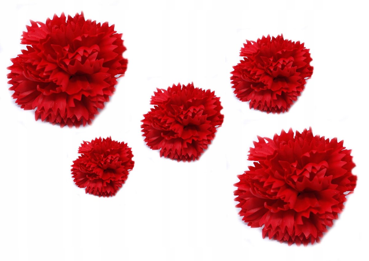 KWIATY MYDLANE GOŹDZIKI czerwony na prezent bukiet miłość 5szt kobiet pani