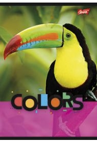 St. Majewski Zeszyt A5 Exotic Colors linia, 70 g/m2 32 kartki