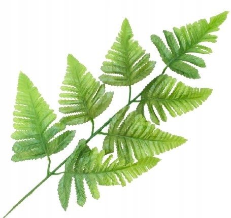 LIŚĆ ŁODYGA PAPROCI liście sztuczne do stroika bukietu kompozycji święta