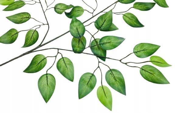 GAŁĄZKA FIKUS stroiki bukiety dodatek LIŚĆ GUMOWANE DROBNE listki zielone