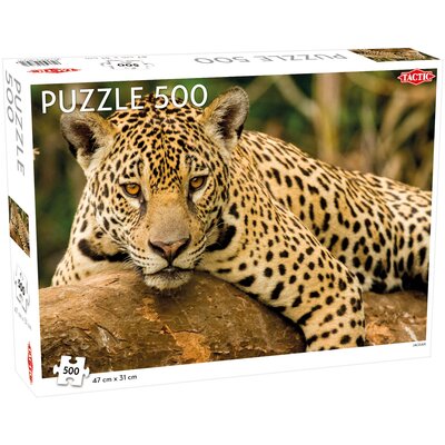 Tactic Puzzle Jaguar 500 -