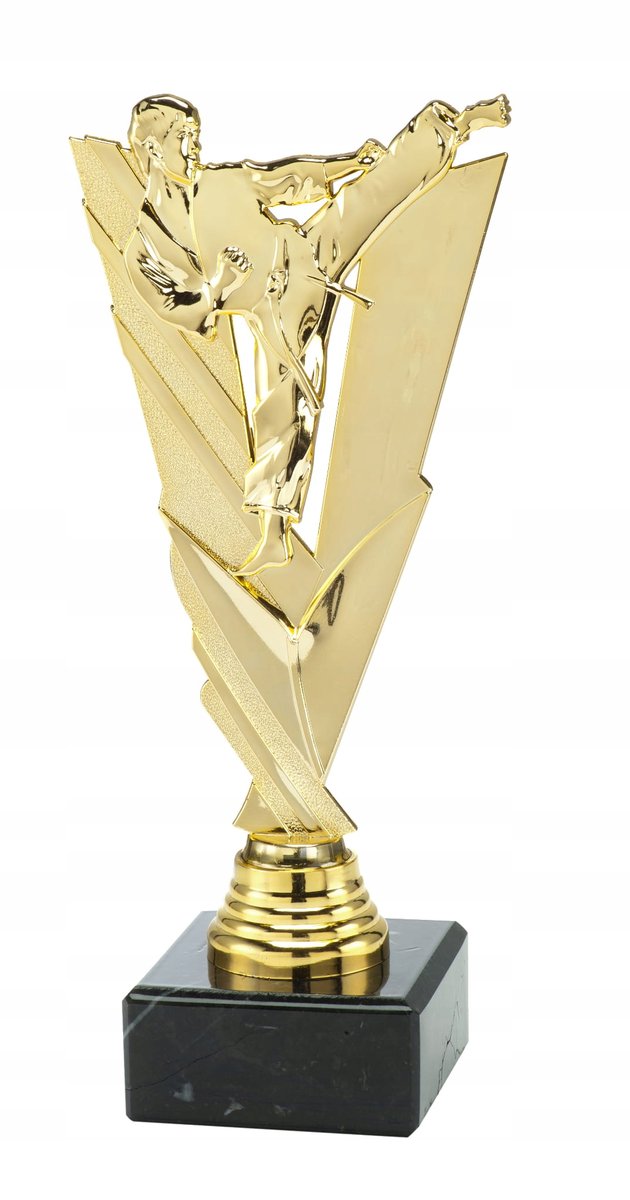 Puchar / Statuetka- KARATE, sporty walki, aikido, sztuki walki + GRAWER!