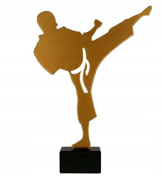 Puchar / Statuetka metalowa KARATE, SZTUKI WALKI, AIKIDO, JUDO + GRAWER!