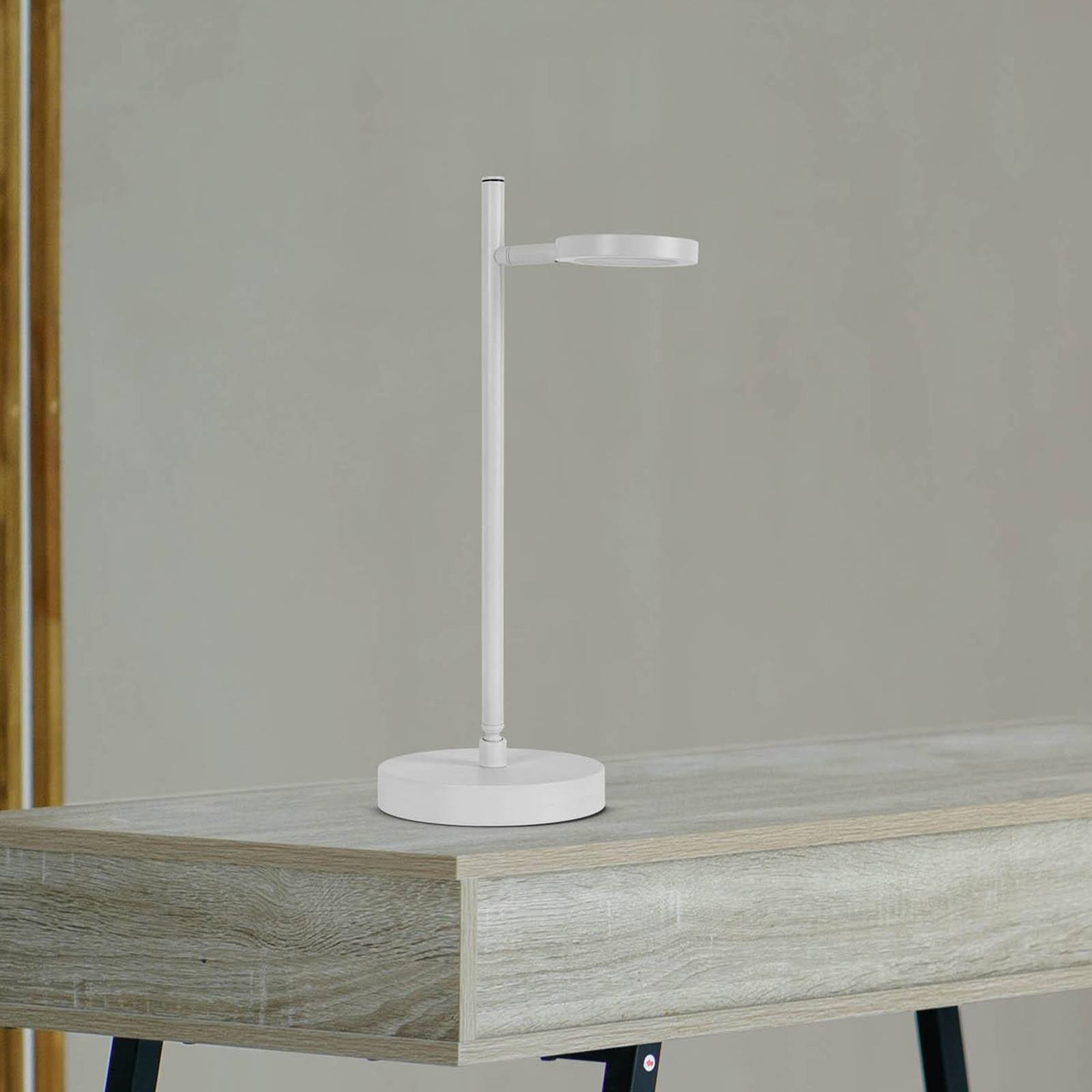 Näve Lampa stołowa LED Lupa, biała, wysokość 45 cm, metal, touchdim