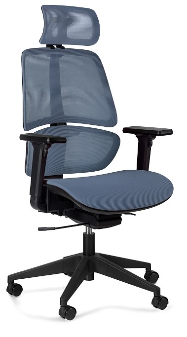 Krzesło biurowe ergonomiczne z zagłowkiem Ergo - Niebieski