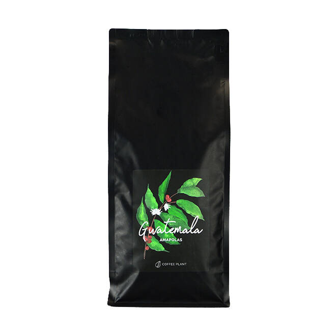 kawa COFFEE PLANT Gwatemala Amapolas 1kg