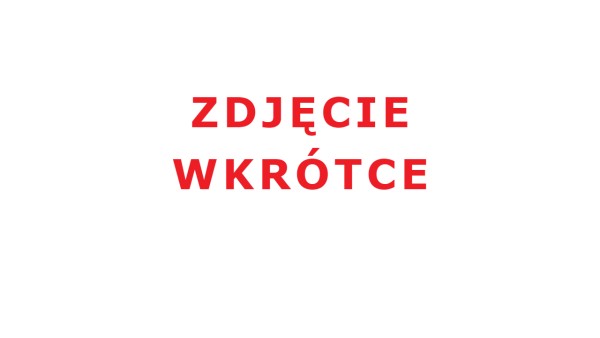 Ładowarka STARMIX ASC 55