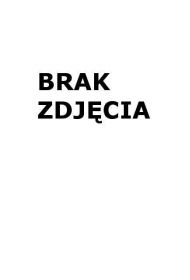 Figurka metalowa Pterodaktyl ABINO
