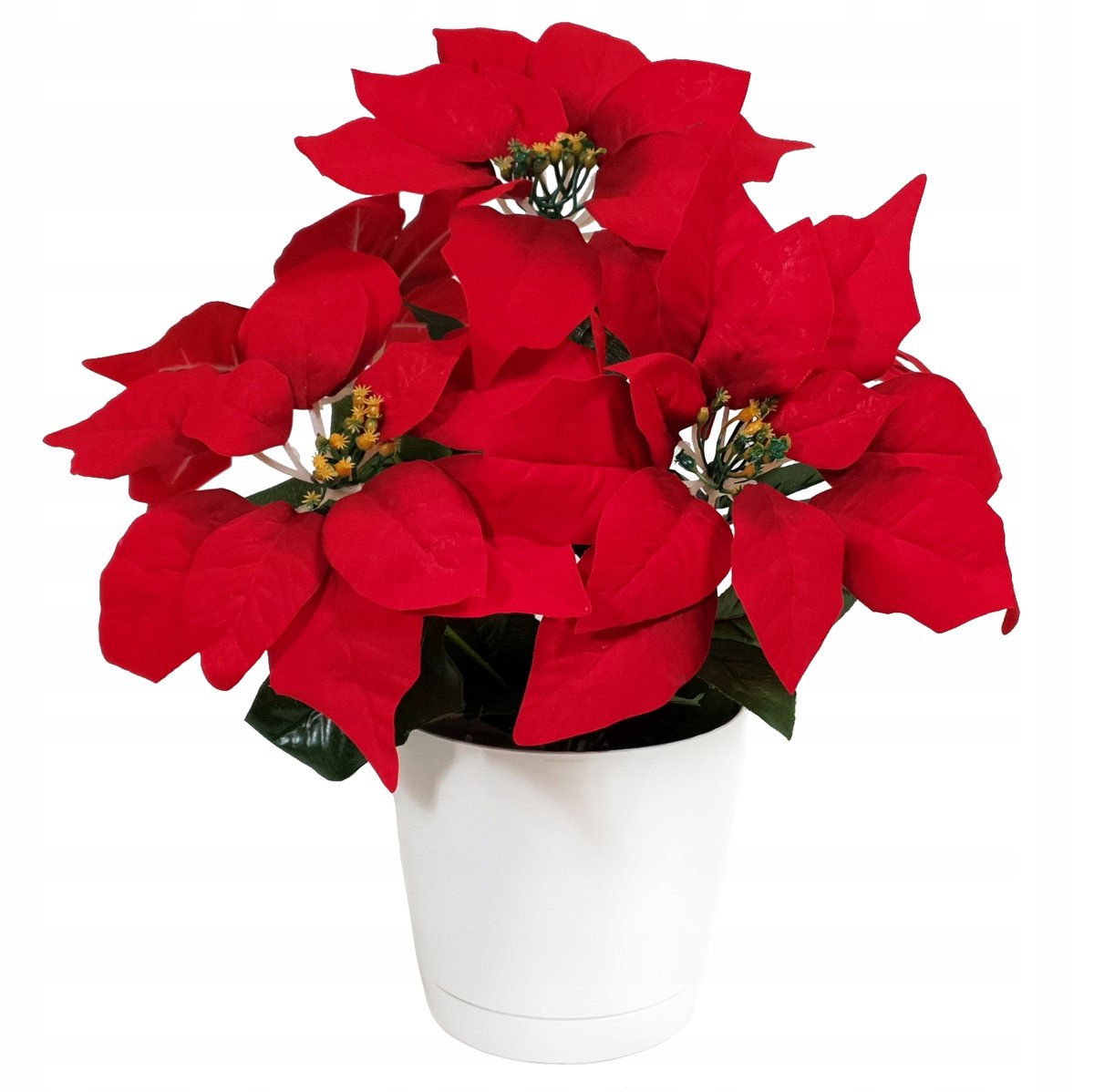 Poinsecja Sztuczna Gwiazda Betlejemska w Doniczce Ozdoba