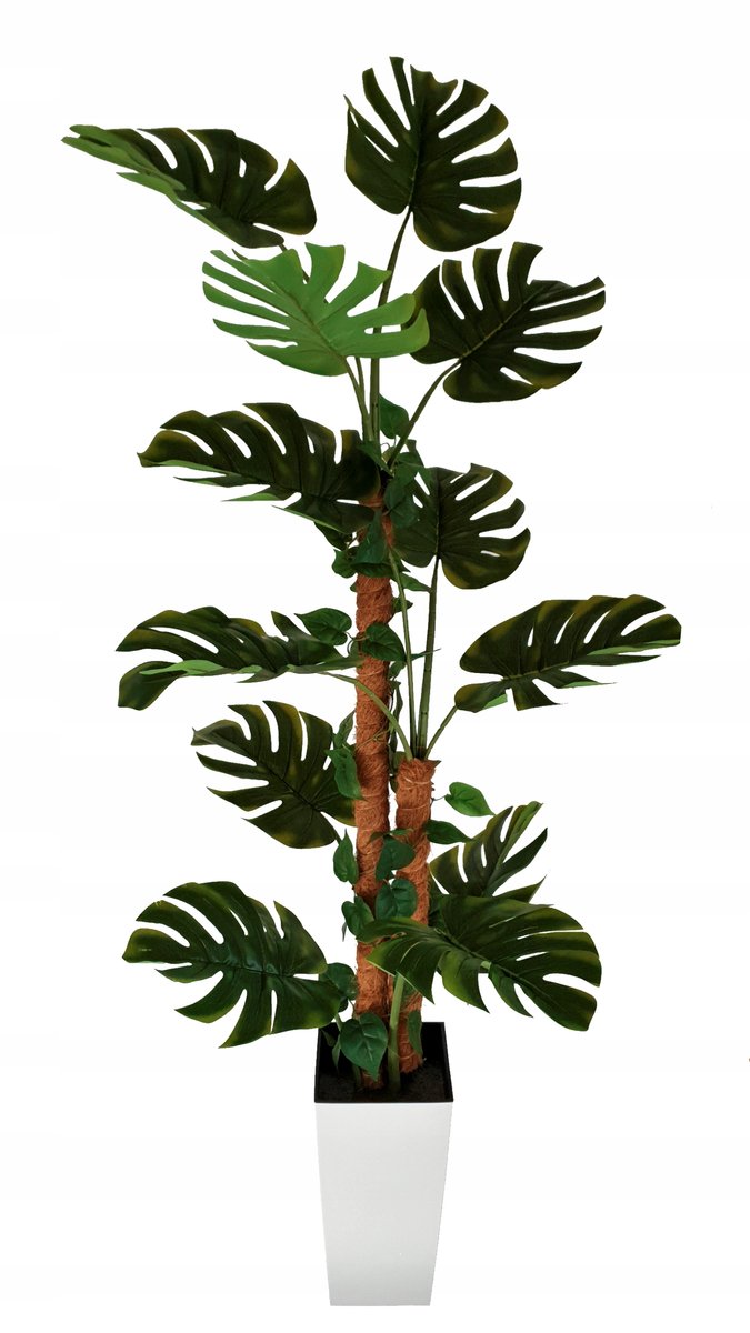 Sztuczna Duża Monstera Wysoka Jakość Drzewko 170cm