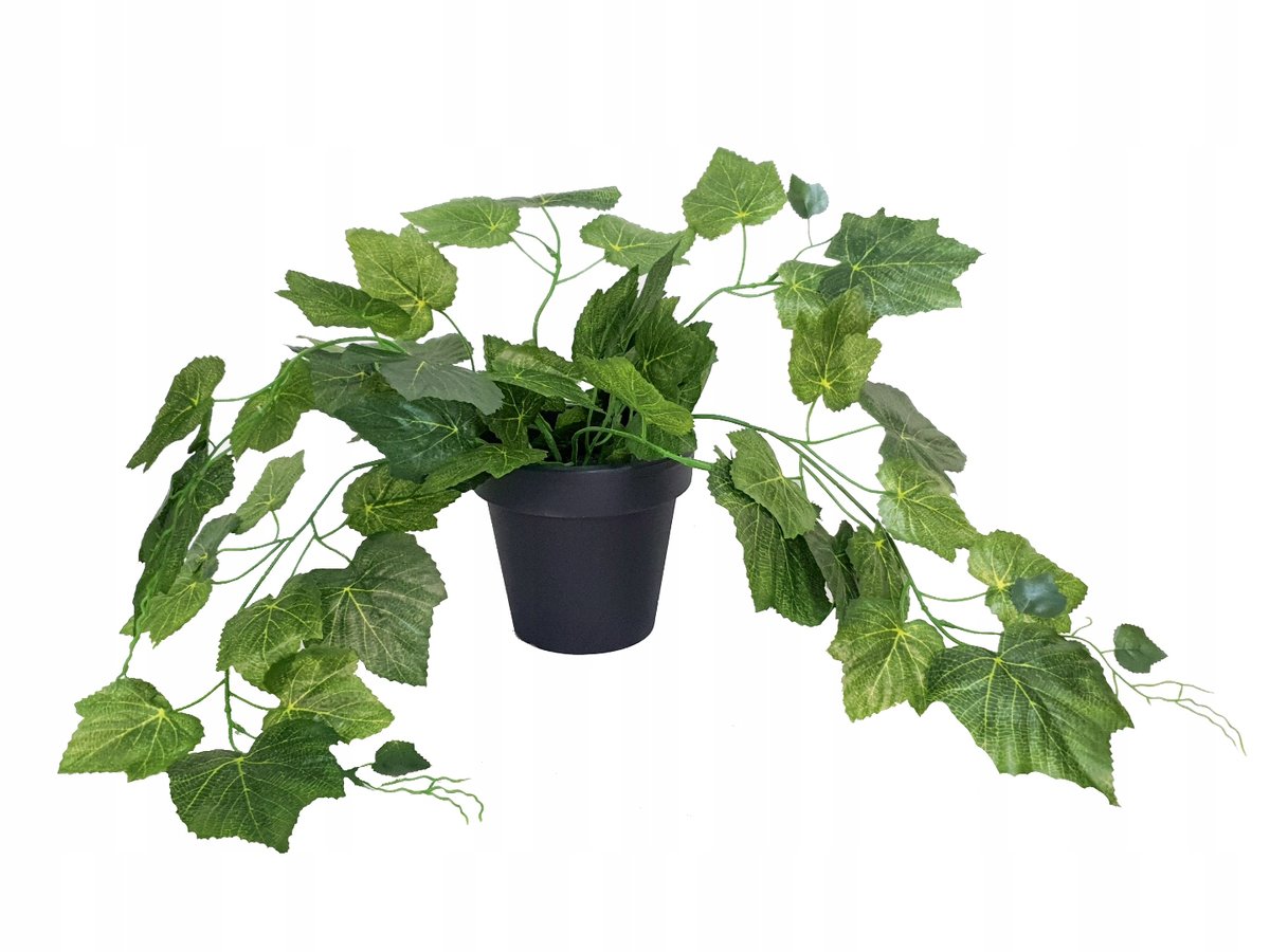 Bluszcz Sztuczny Winorośl Pnącze Girlanda w Doniczce 60 cm