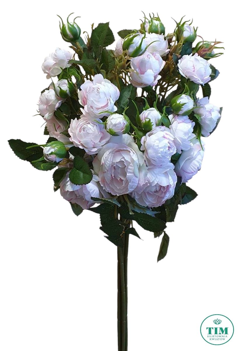 RÓŻA GAŁĄZKA 50 CM PUDROWY RÓŻ 6 SZT