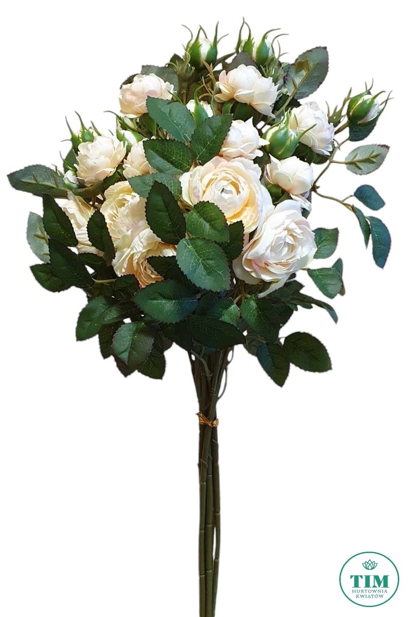 RÓŻA GAŁĄZKA 50 CM BRZOSKWINIA 6 SZT