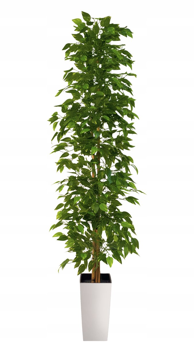 Fikus Drzewko Sztuczne Ficus Sztuczny Wysoka Jakość 180cm