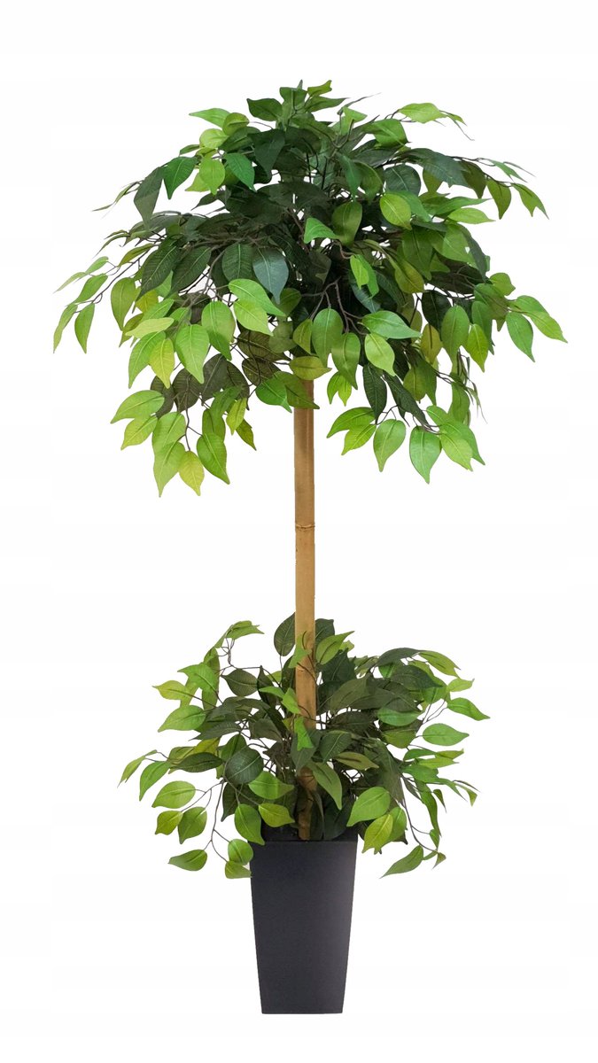 Fikus Sztuczny Drzewko Benjamin PREMIUM 150 cm