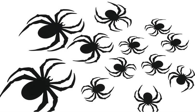 Naklejki na ścianę Pająki 6-19 cm