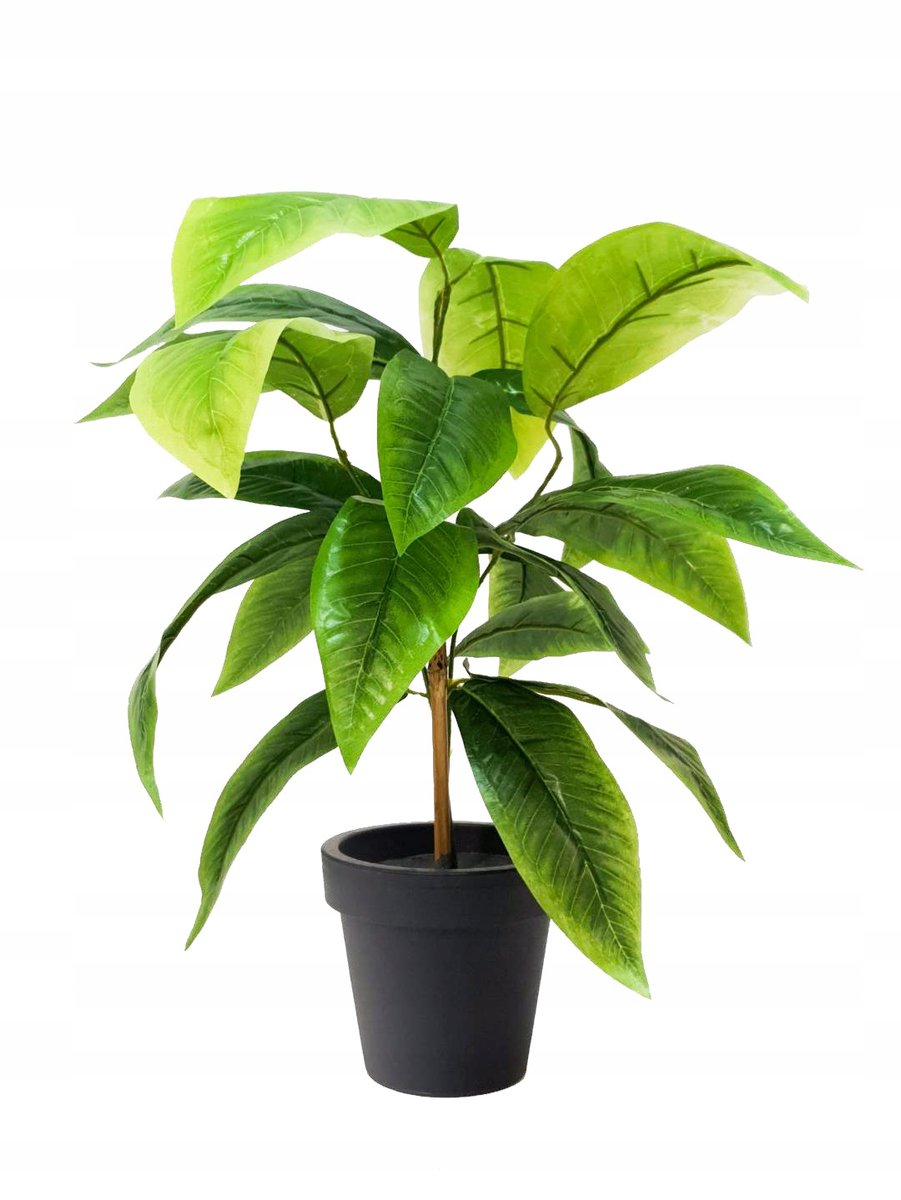 Figowiec Sztuczny Roślina Drzewko Fikus 50cm