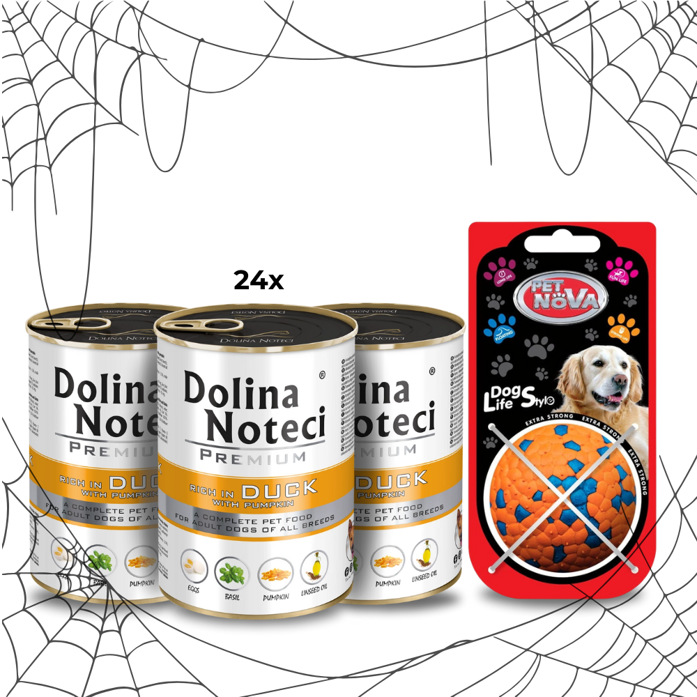 Dolina Noteci Premium Kaczka z dynią 24x400g + piłka