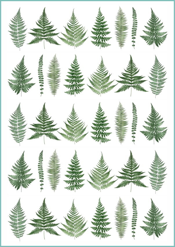 Tatuaże tymczasowe zmywalne liście paproci, arkusz A4
