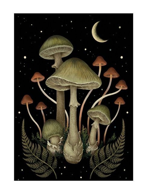Pocztówka A6 Episodic Drawing Death Cap śmieszne pocztówki