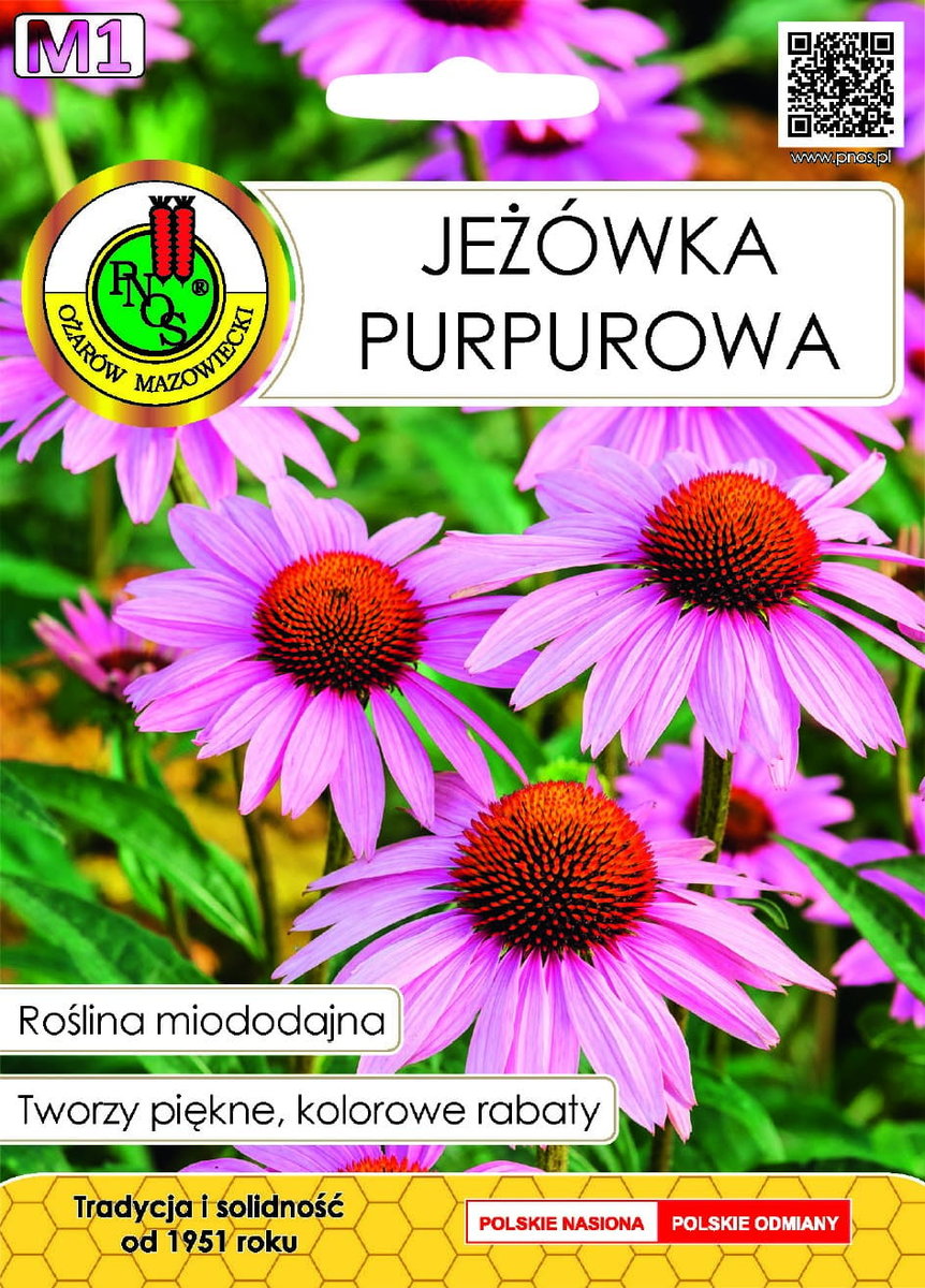 Nasiona miododajne Jeżówka purpurowa gr.M1 1g