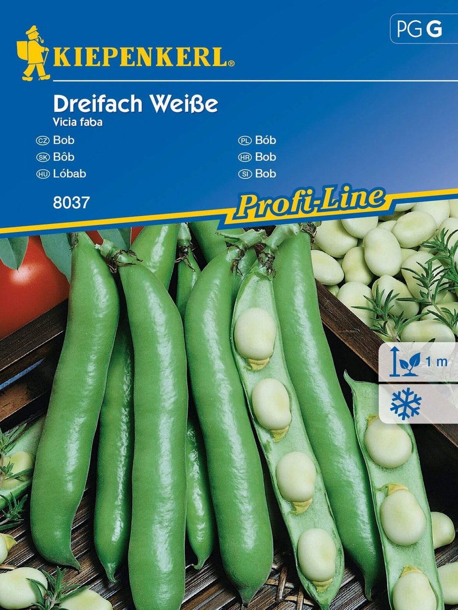 Bób Dreifach Weiße biały nasiona Kiepenkerl