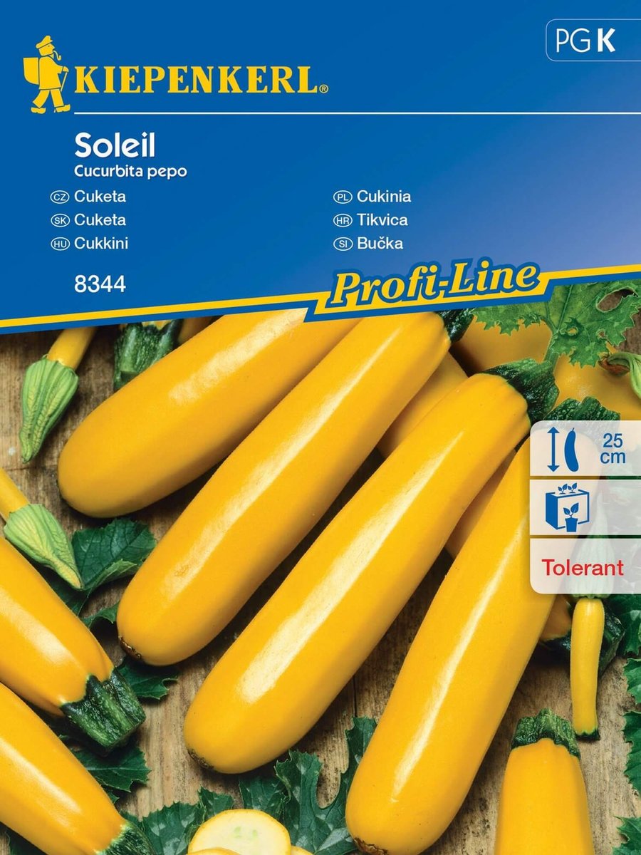 Cukinia żółta SOLEIL nasiona Kiepenkerl