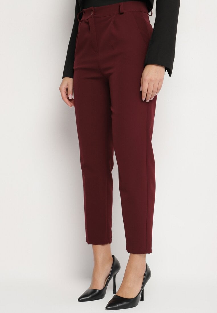 Bordowe Spodnie Garniturowe z Regularnym Stanem Ilysath