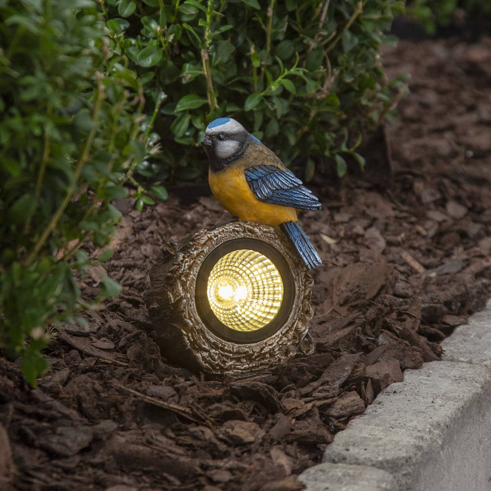 STAR TRADING Lampa solarna LED Birdie, kolorowa, plastikowa, 9 x 14 cm, zestaw 9 sztuk