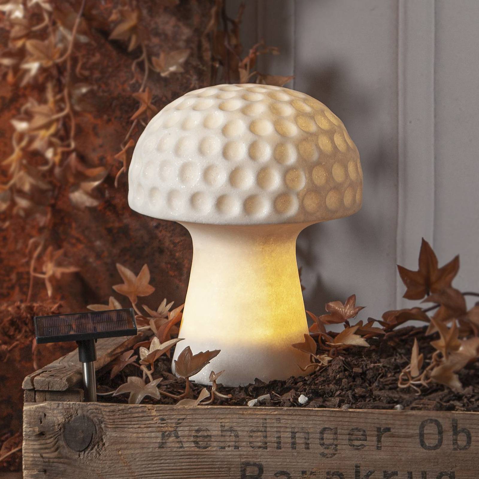 STAR TRADING Lampa solarna LED Sandy, wysokość 24 cm, kształt grzybka z białego plastiku