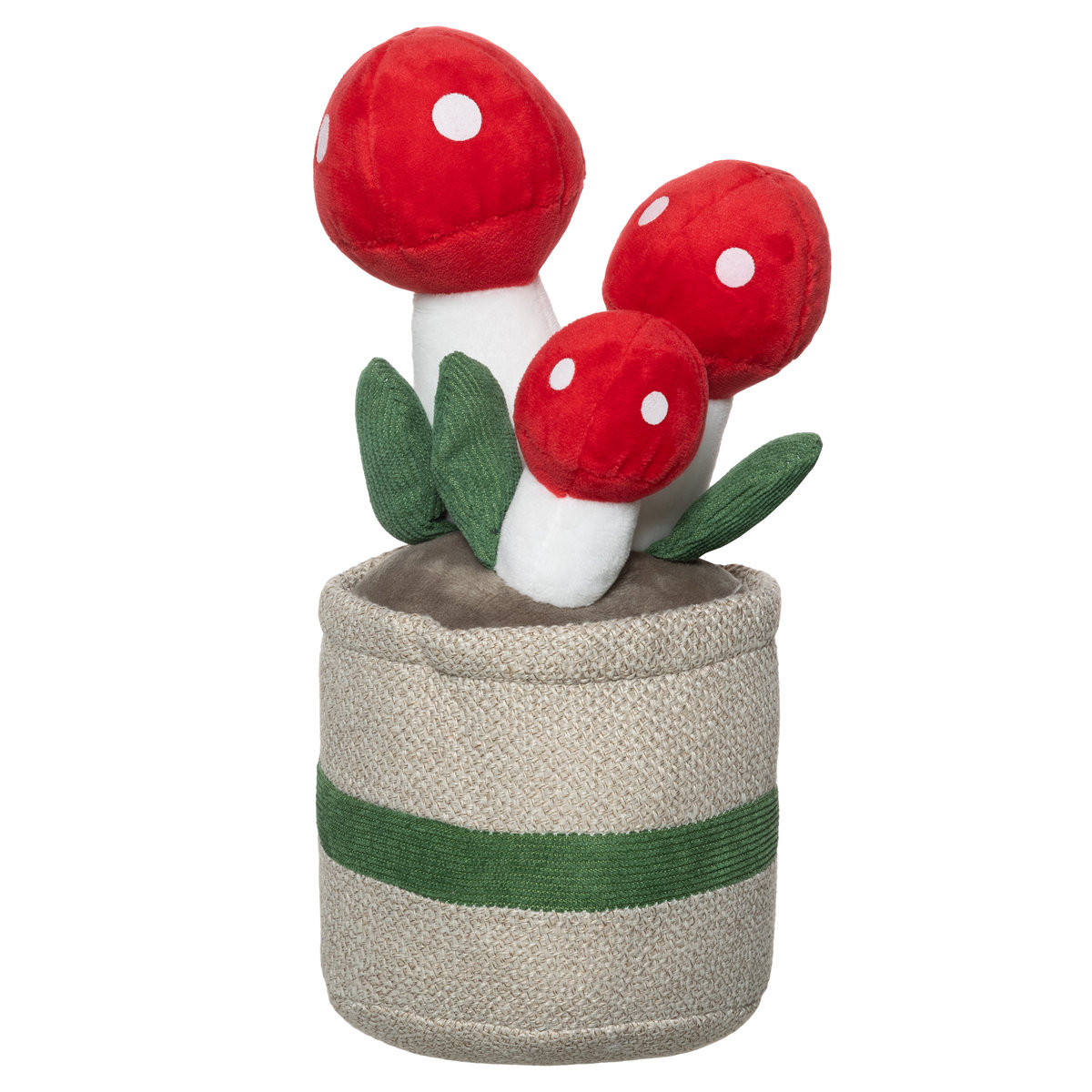 Chinchilla, Muchomorki, 25 cm