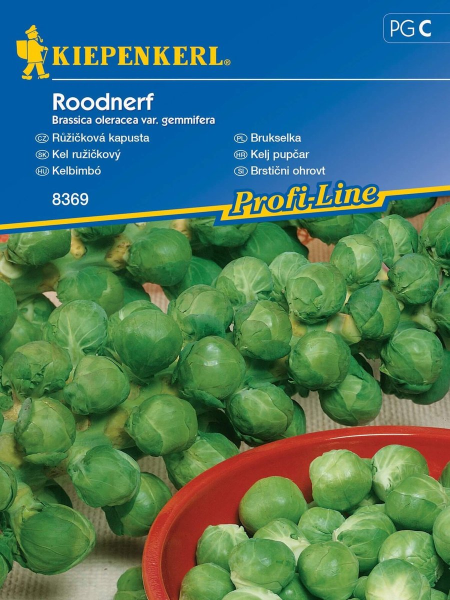 Brukselka ROODNERF kapusta brukselska nasiona Kiepenkerl