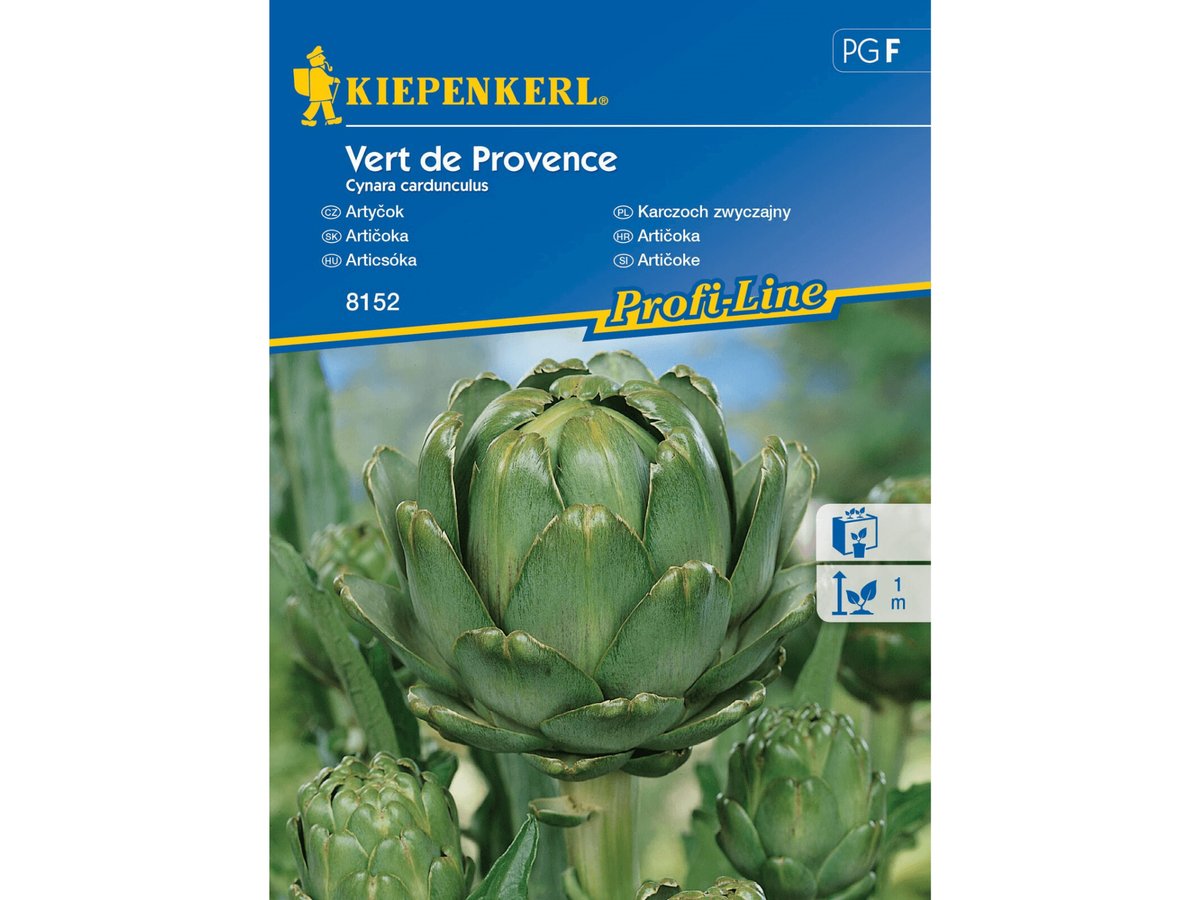 Karczoch zwyczajny Vert de Provence wieloletni nasiona Kiepenkerl