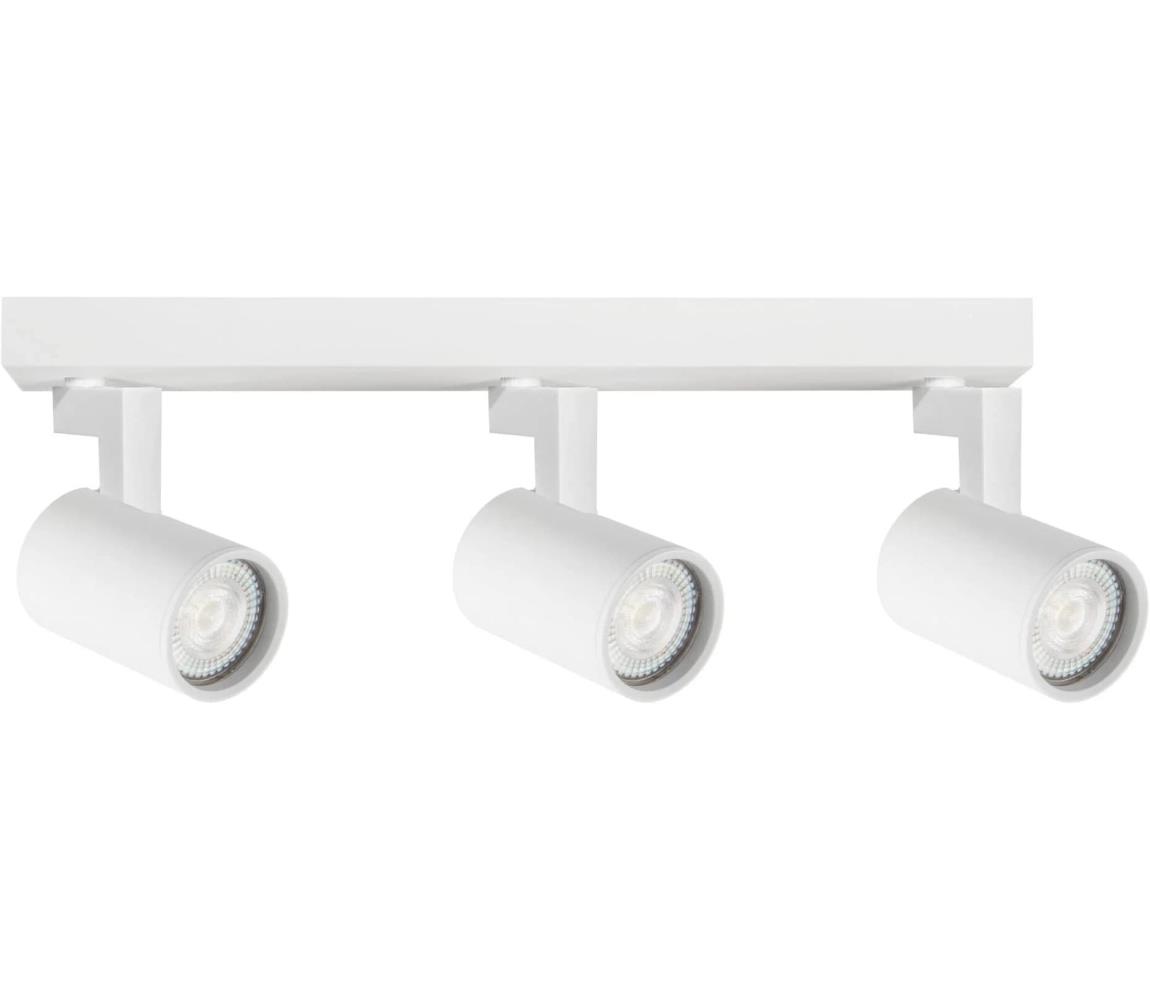 Oświetlenie punktowe LYNX 3xGU10/10W/230V biały
