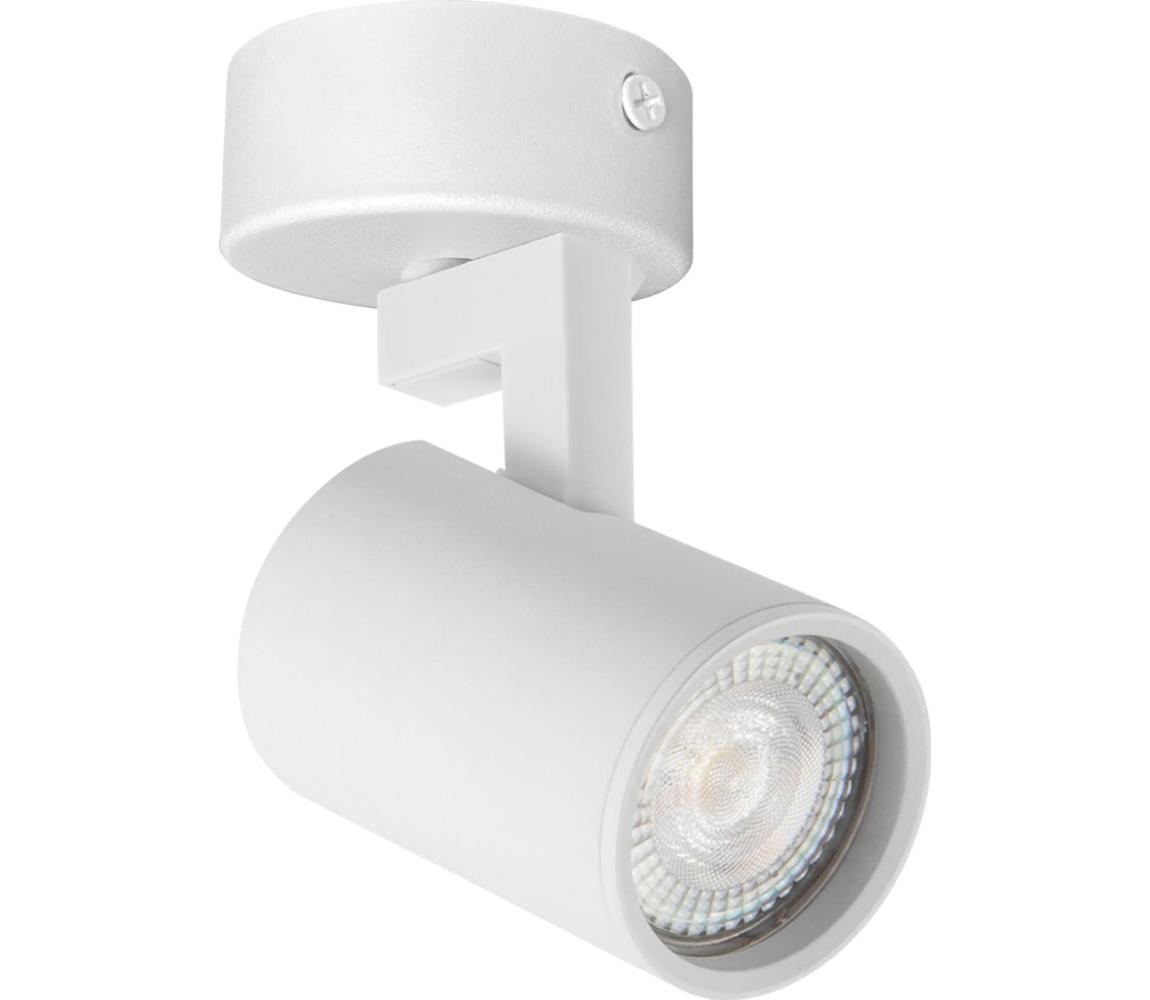 Oświetlenie punktowe do systemu szynowego LYNX 1xGU10/10W/230V biały