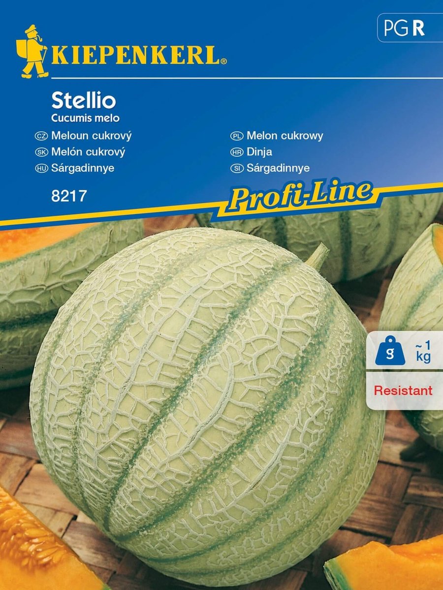 Melon STELLIO odporny i smaczny nasiona Kiepenkerl