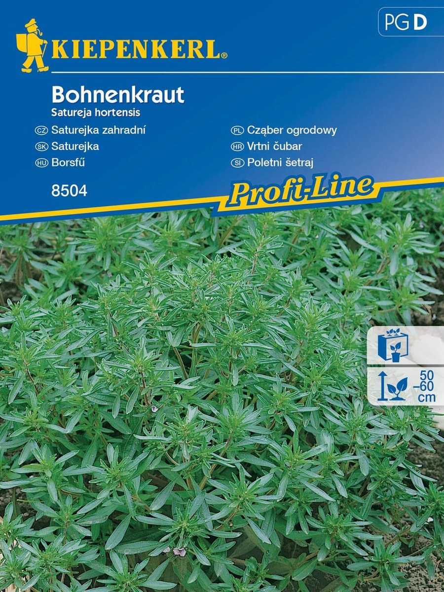 Cząber ogrodowy BOHENKRAUT nasiona Kiepenkerl