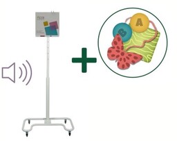 Zestaw SmartFloor Standard Mobile Audio Rewalidacja