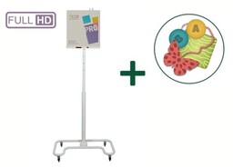 Zestaw SmartFloor Pro FullHD Mobile Rewalidacja