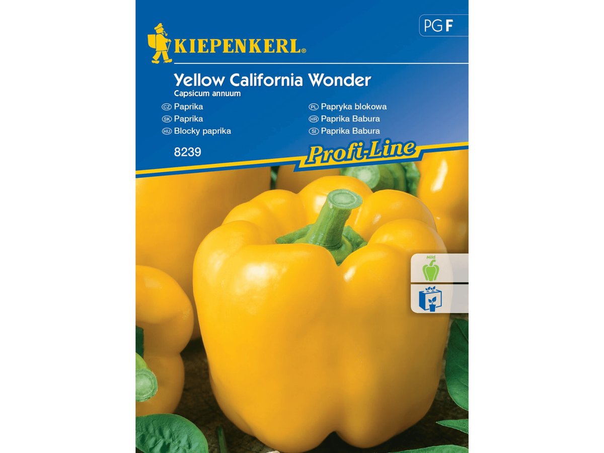 Papryka YELLOW CALIFORNIA WONDER nasiona papryki Kiepenkerl