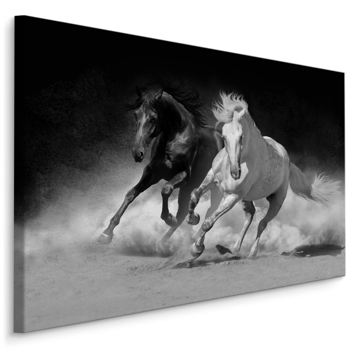 Obraz do salonu czarno biały galop konie 120x80