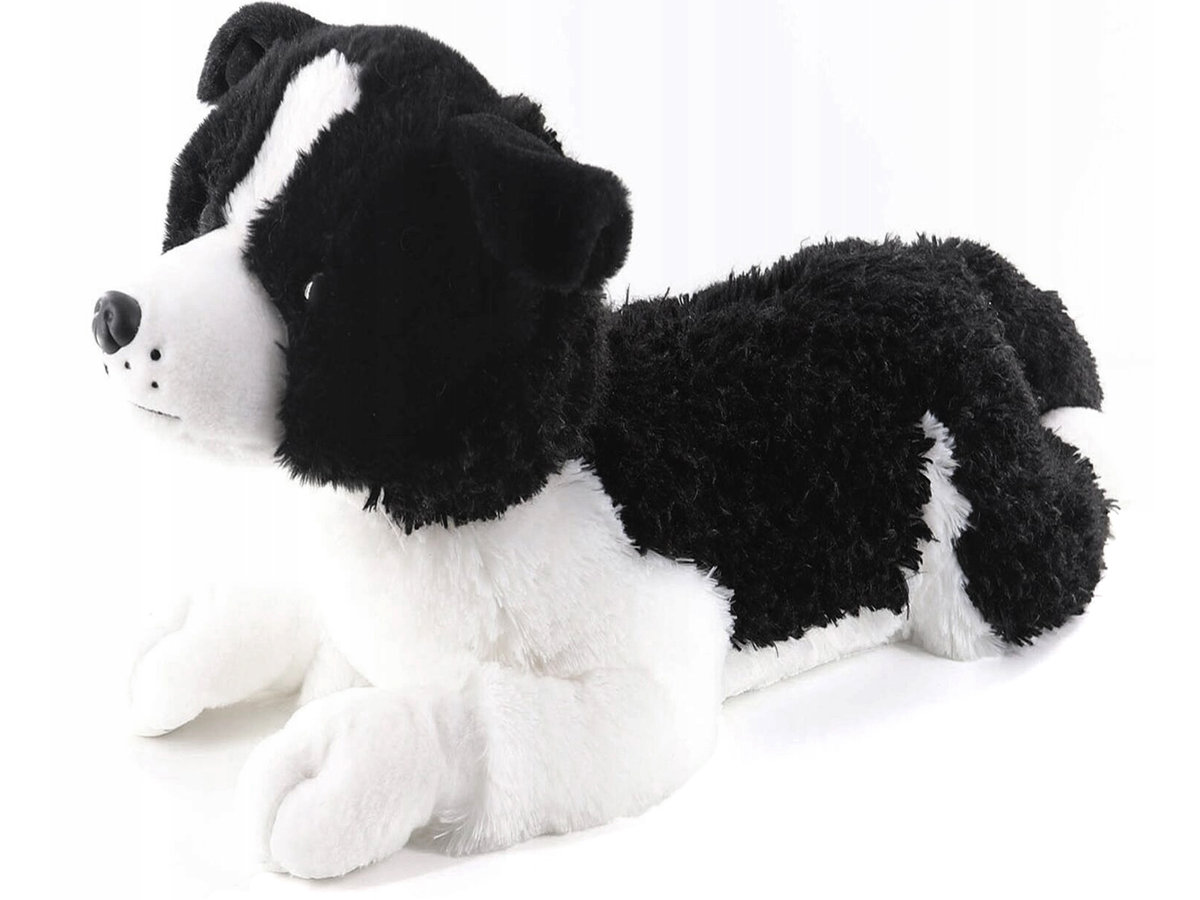Maskotka Pluszowa PIESEK Border Collie DO PRZYTULANIA Dla Dzieci 60 cm