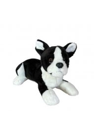 Pies boston terrier 28cm