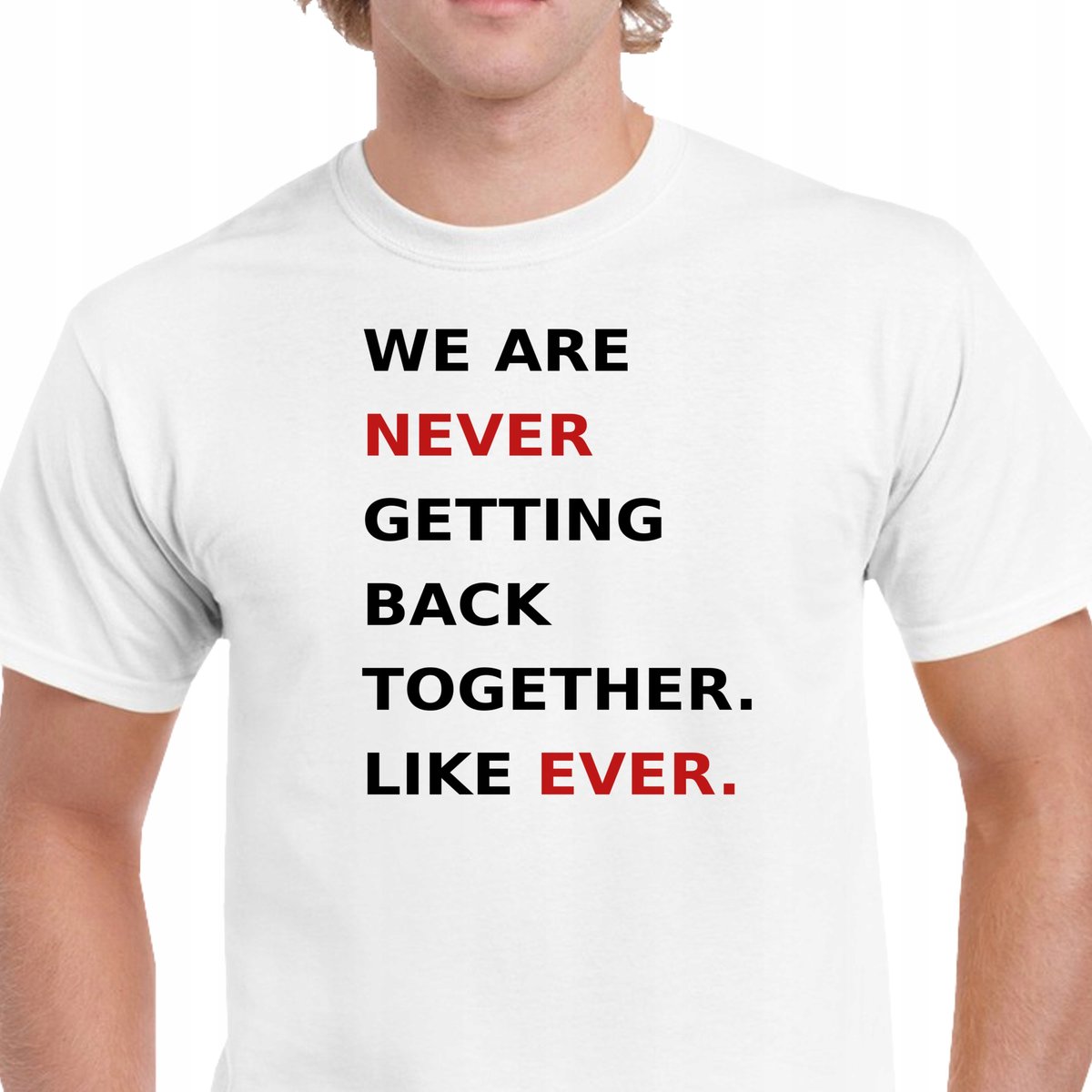 P174 KOSZULKA MĘSKA TAYLOR SWIFT WE ARE NEVER GETTING BACK BAWEŁNA S