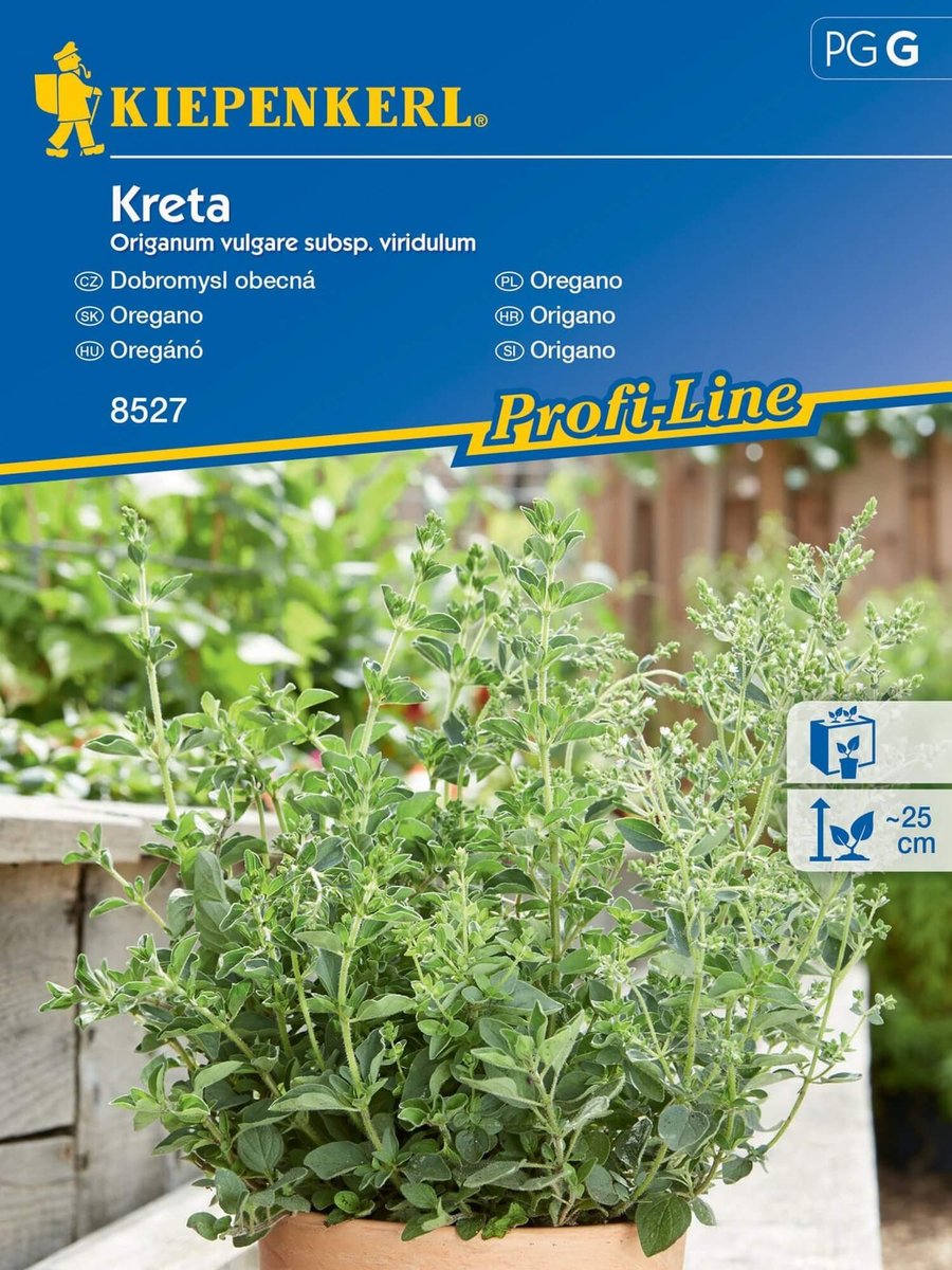 Oregano KRETA do doniczki nasiona Kiepenkerl