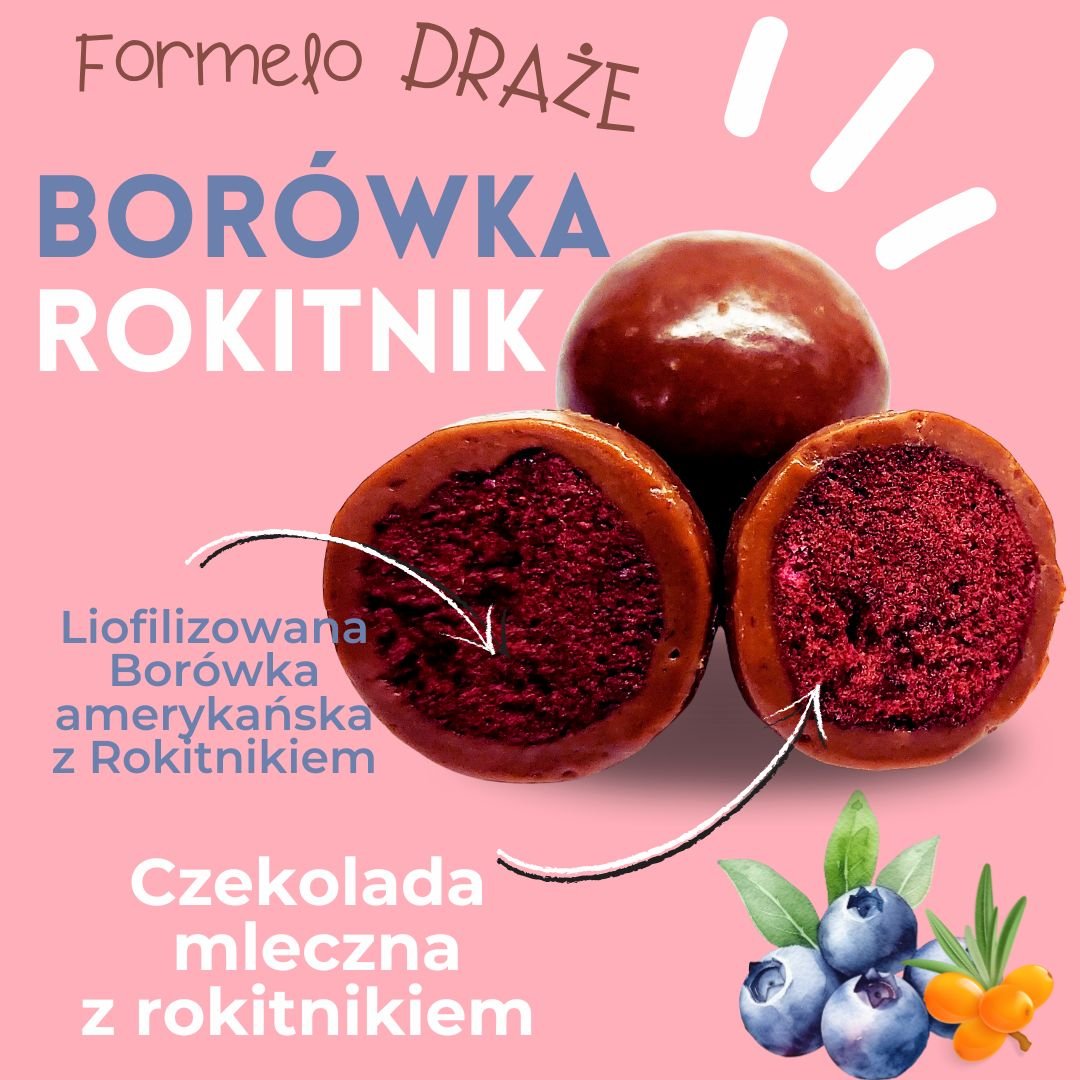 Liofilizowana borówka amerykańska z rokitnikiem w czekoladzie mlecznej opakowanie bag 100g