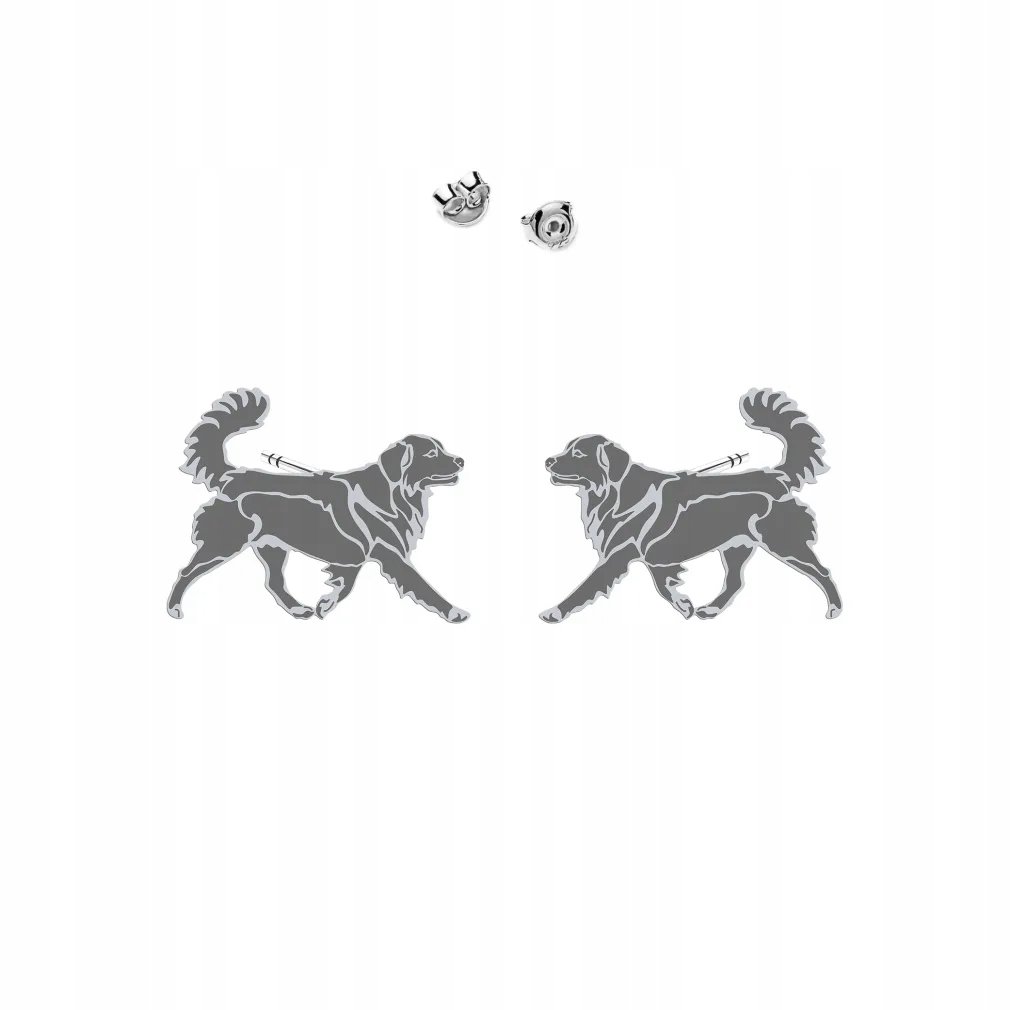 Kolczyki Srebrne Nova Scotia Duck Tolling Retriever 925 Sztyfty DEDYKACJA