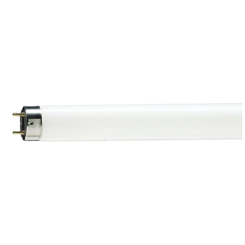 Świetlówka Philips Master 80 G13 36W 230V