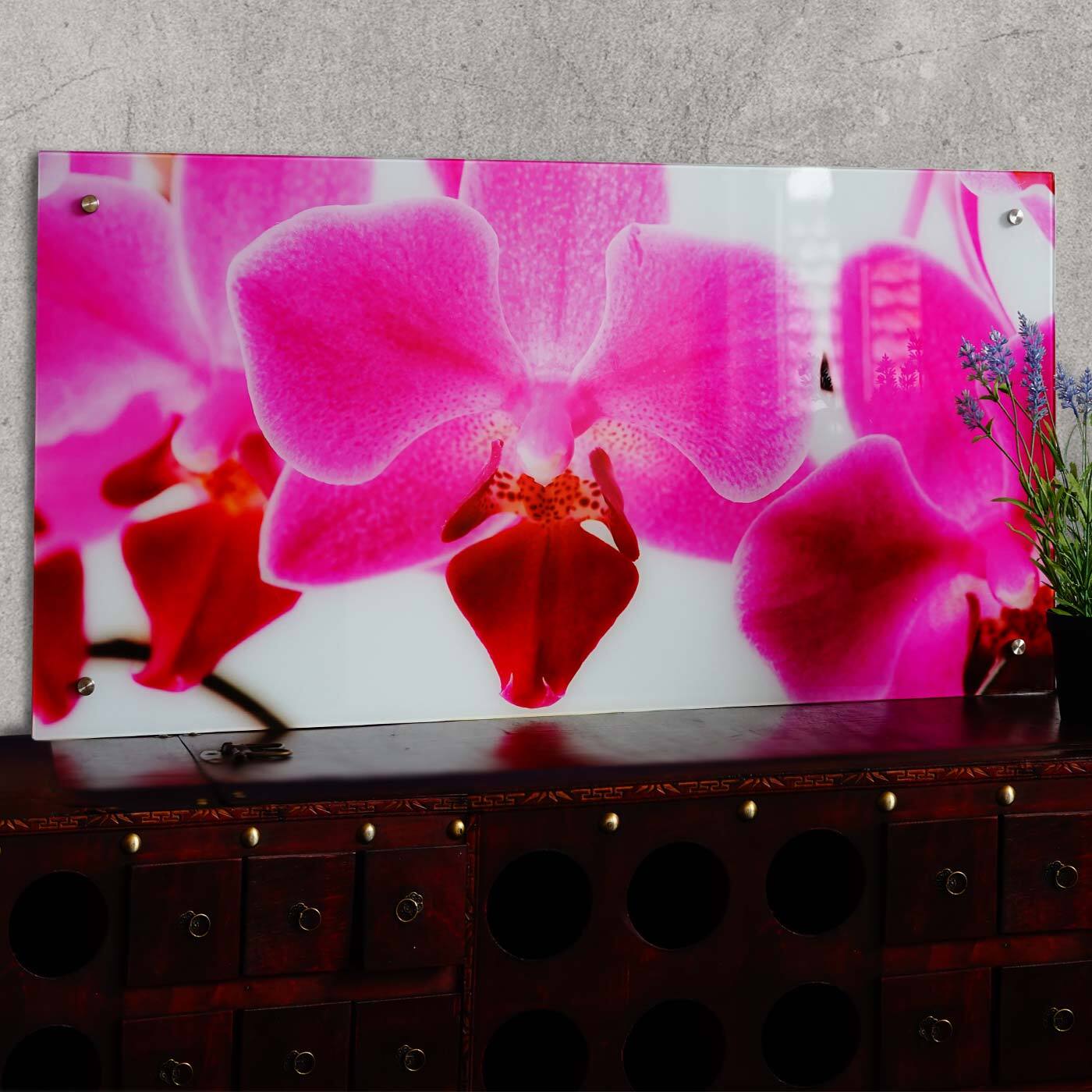 Obraz szklany T115, motyw plakatu na ścianę, 50x100cm ~ Orchidea