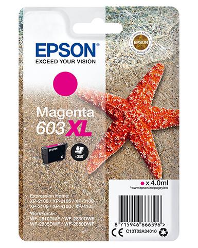 Epson C13T03A34020